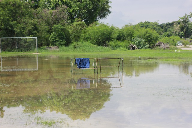英媒：纽卡准备涨薪续约利夫拉门托，曼城仍将密切关注他
