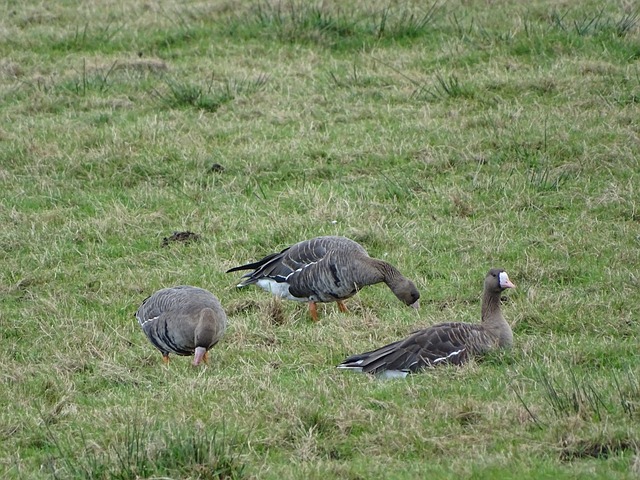 每体：拉波尔塔的前岳父去世，享年101岁